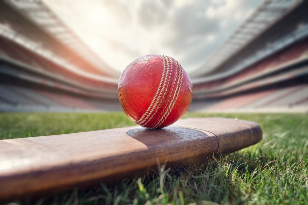 Cricket